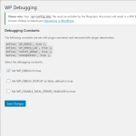 ปลั๊กอินดีบัก WordPress