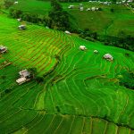 บ้านป่าบงเปียง