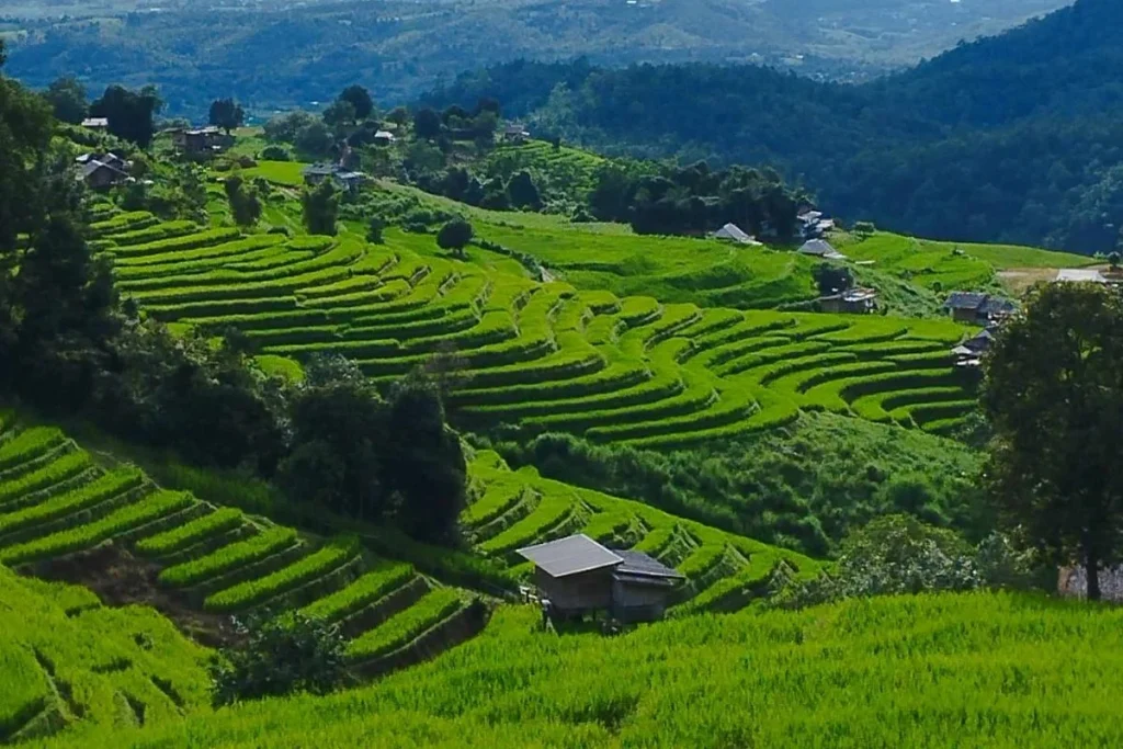 โฮมสเตย์