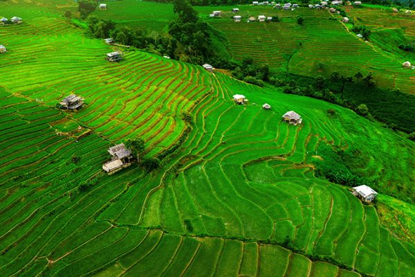 บ้านป่าบงเปียง