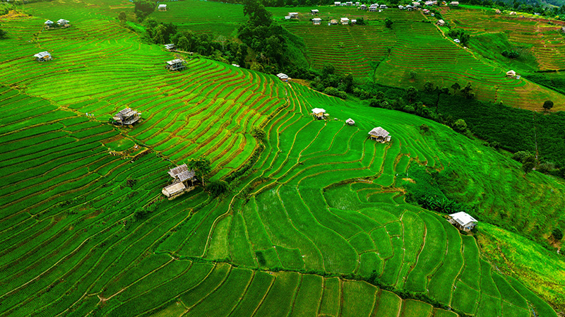 บ้านป่าบงเปียง